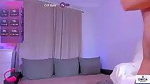 Teylor_Fly (1)
