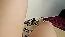 Nosah8 (1)