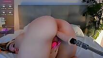 May_aster (18)