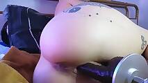 Liza_Rosa (1)