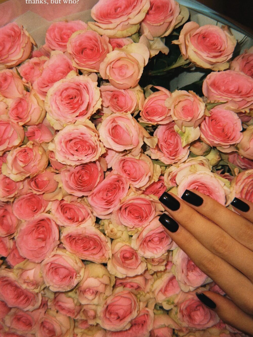 stricred profile photo