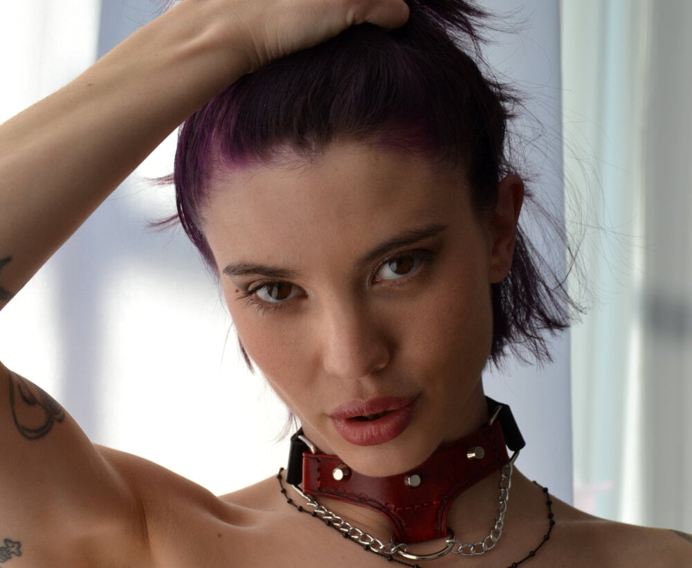 _licoricepizza_ profile photo