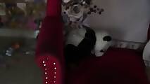 -AyeshaSinghania- (2)
