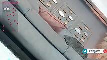 eva_cuper (13)